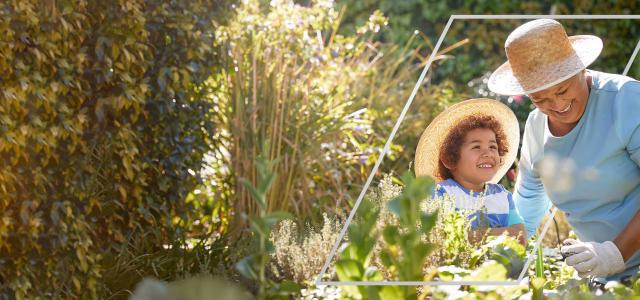 Grandmother and grandchild taking care of plants